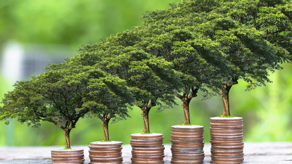 Land Investment for Generational Wealth